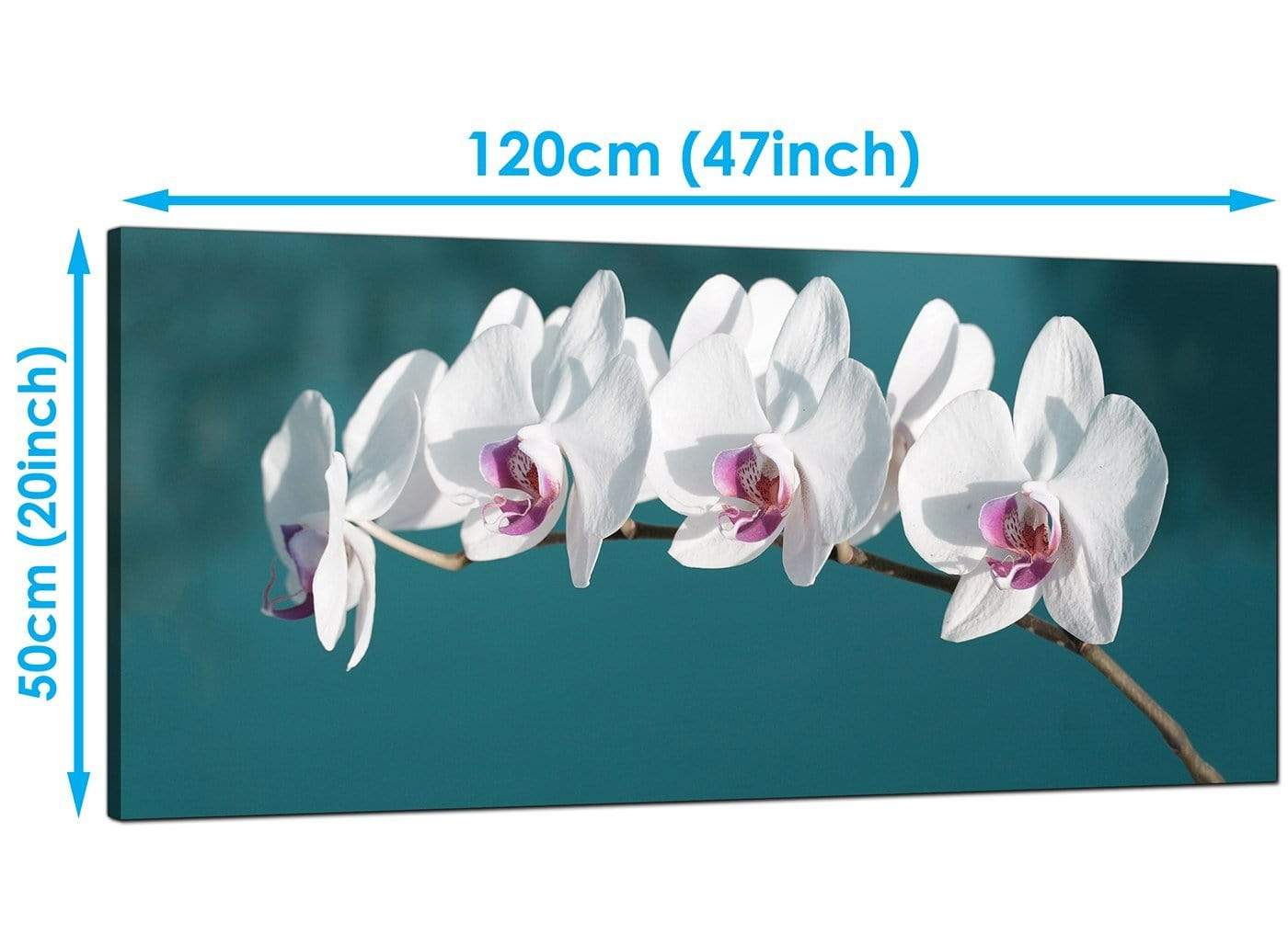 Teal White Orchid Flower Branch Floral Canvas