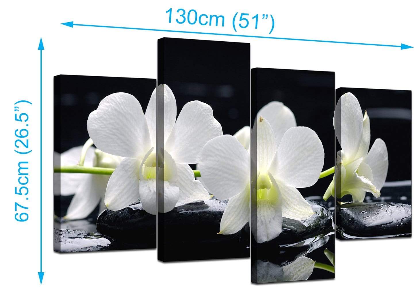 Black and White Orchid Flower Floral Canvas
