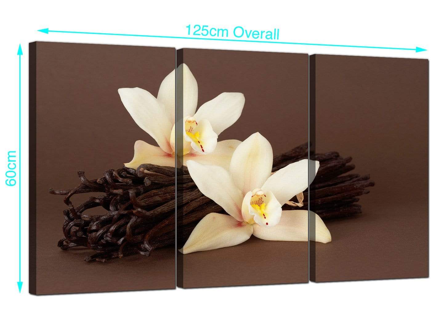 Brown and Cream Flower Floral Canvas