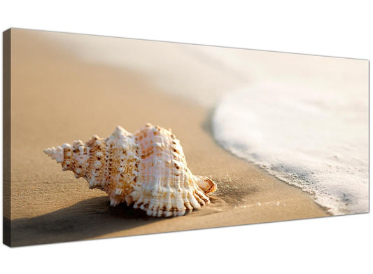 Sea Shells Shore Beach Canvas